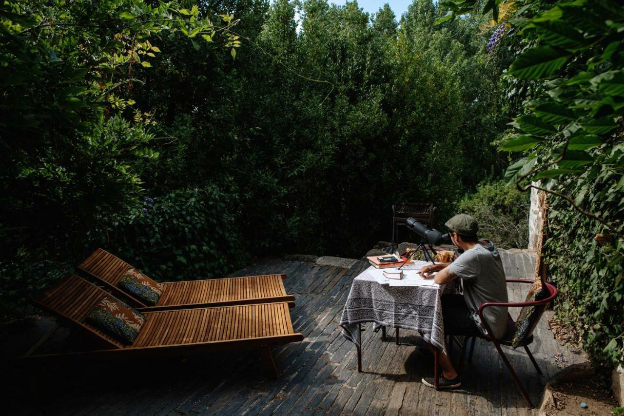 Casa Agricola Da Levada Eco Village 维拉·雷阿尔 外观 照片